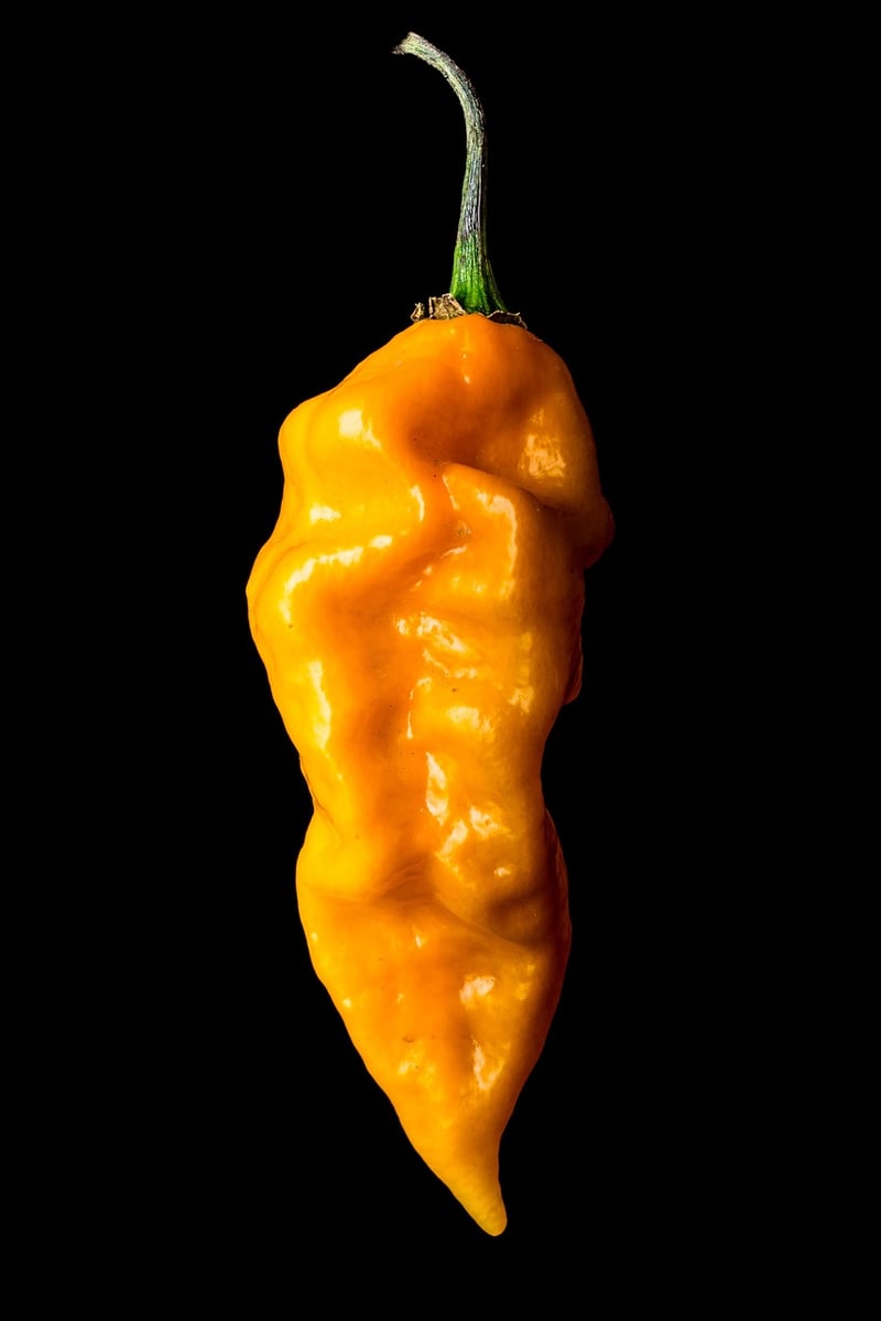Black Pepper