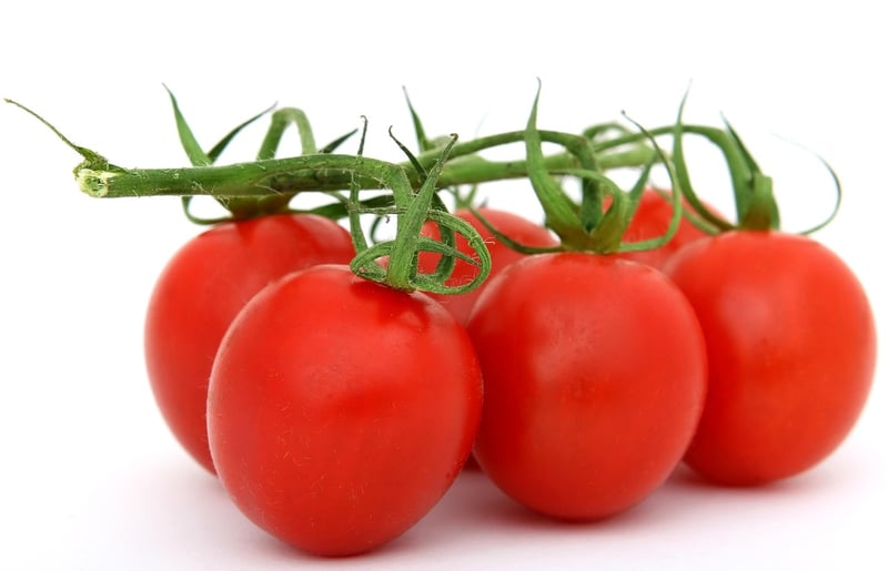Fresh Ingredients